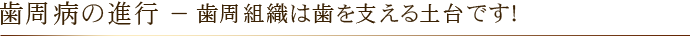 歯周病の進行 － 歯周組織は歯を支える土台です！