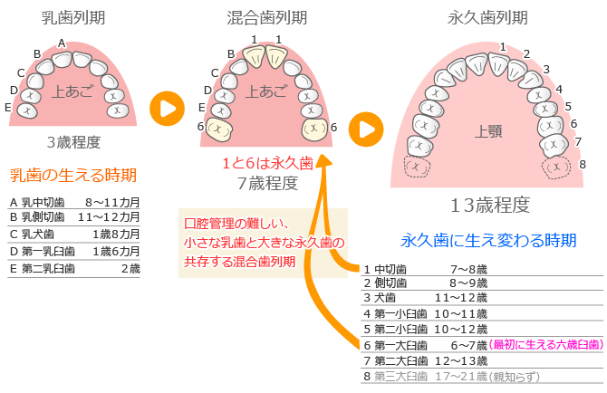 子どもの口腔環境